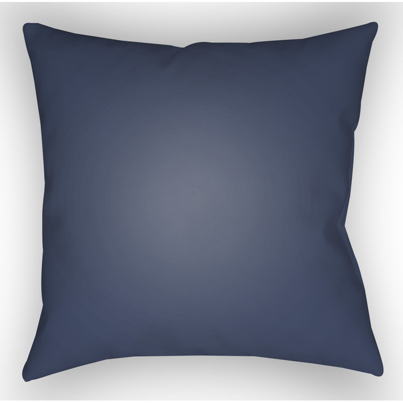 Outdoor Throw Pillow, 18" H x 18" W x 4" D, Blue