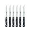 Gourmet Steak Knife Set