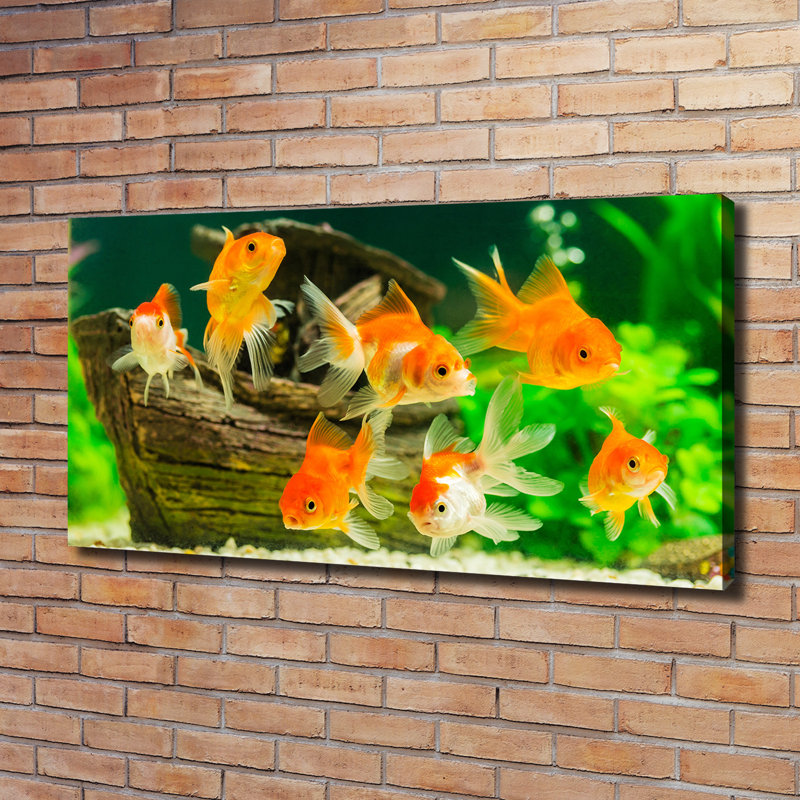 Gold Fish - No Frame Print on Canvas