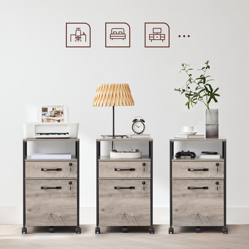 Alican 42cm Wide 2 -Drawer File Cabinet