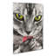 Portrait Of A Cat Vol.9 - Wrapped Canvas-61838623