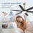 60" Solid Wood Ceiling Fans Dimmable LED Light Ceiling Fan With Remote, 6-Speed Noiseless Reversible DC Motor, Black-2024726978-2024726984