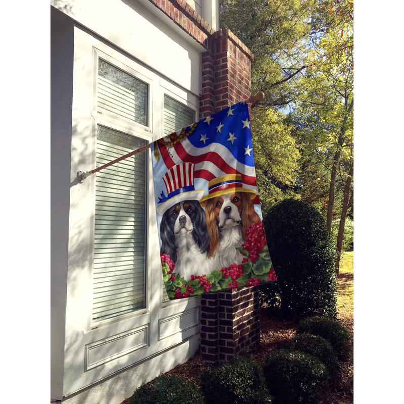 Drapeau de maison Hvidovre Sheltie Halloween en polyester à 2 faces 3 x 2 pi, Épagneul cavalier États-Unis