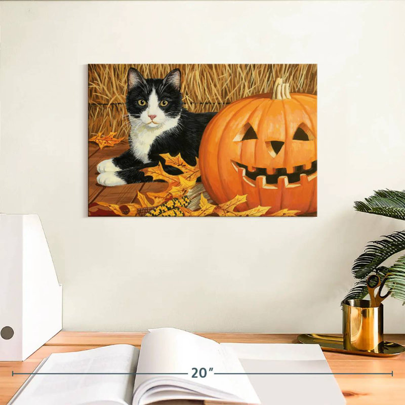 Citrouille d'Halloween et chaton, H 8 po x l 12 po