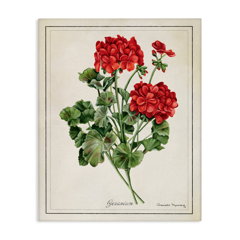 «Vivid Red Geranium Blossoms», art mural par Danielle Murray, H 16 po x l 20 po