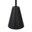 Mansueto