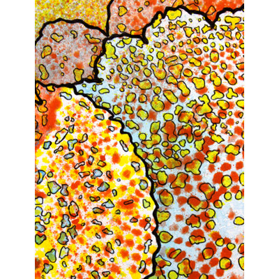 2, Inset C Print by Katie Schutte