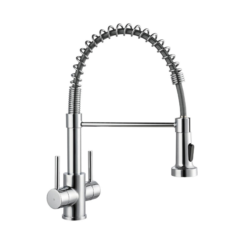 Williston Forge Kitchen Faucet
