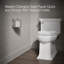 Artifacts® Toilet Tissue Carriage-1001871335