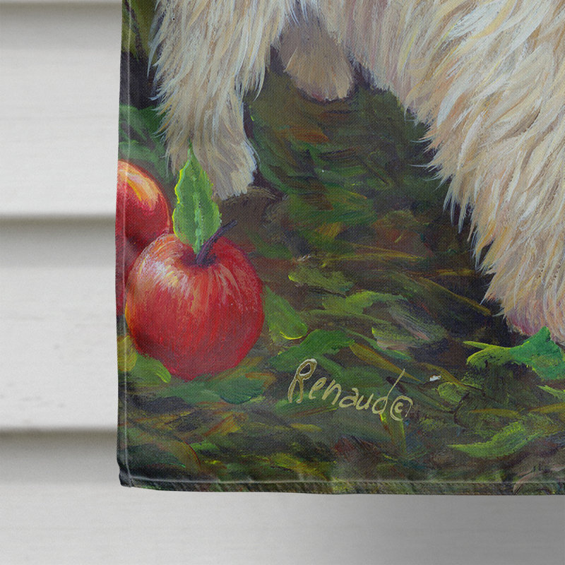 Drapeau de maison Hvidovre Sheltie Halloween en polyester à 2 faces 3 x 2 pi, Cairn terrier pommes