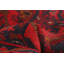 Tapis de la surface en laine 5 pi x 6 pi 7 po à la main one-of-kind-noué la 2010 esari turque Allaina