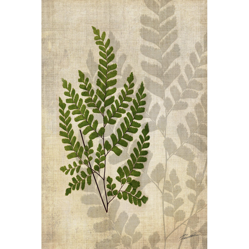 «British Ferns VI», peinture sur toile, H 12 po x l 8 po