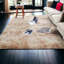 Tapis 5 x 7 pi