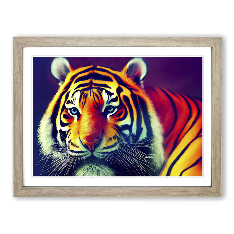 Illuminated Tiger - Single Picture Frame Print, 34cm H x 46cm W, Grey