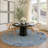 Machine Washable Indoor/Outdoor Chantille ACN2289 Damask Rug-1962208288