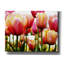 "Tulipes" par PhotoINC Studio-1547412589