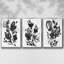 Cameo Bloom I 3 pièces-97758029-97758031