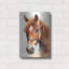 «Horse 2» par Petals Prints Design-1397598639