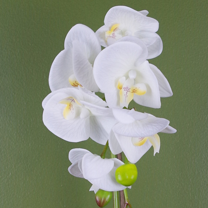 Plastic, Silk Artificial Arrangement in Pot, White, 46cm H x 15cm W x 15cm D