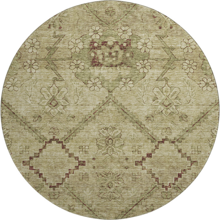 Premium Machine Washable Prisco Brown Rug