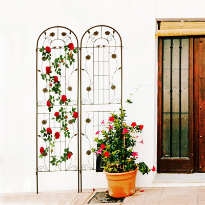 2 Pack Metal Garden Trellis 71" X 19.7" Rustproof Trellis For Climbing Plants Outdoor Flower Support Brown