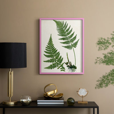 Impression encadrée Fern II - bois massif
