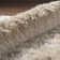 Petrey Indoor Rug