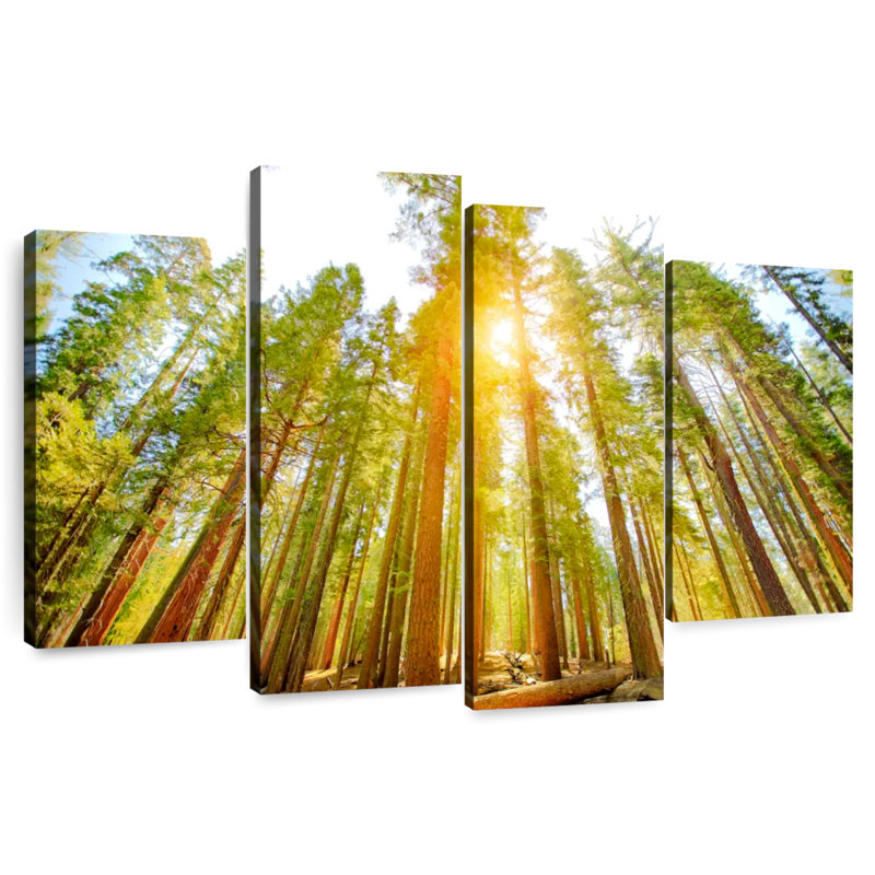 Alvord Yosemite National Park Groves, H 27 po x l 43 po