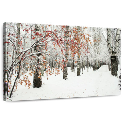 Alvord Frosty Birch Forest