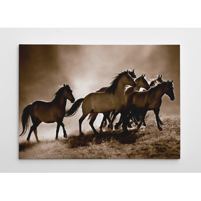 " Wild Horses "