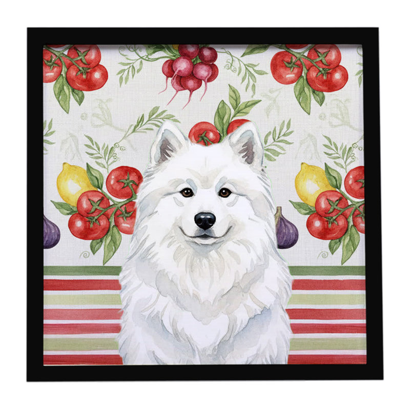 «White Samoyed Légumes», impression sur métal encadrée