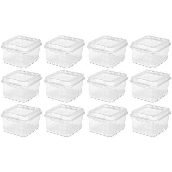https://assets.wfcdn.com/im/71839956/resize-h600-w600%5Ecompr-r85/2395/239503971/Sterilite+Plastic+FlipTop+Hinged+Storage+Box+Container+w%2F+Latching+Lid.jpg
