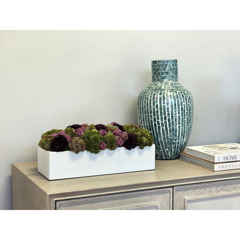 Succulent Sedum in Fiberstone Planter, 8" H x 18" W x 10" D, Rectangular