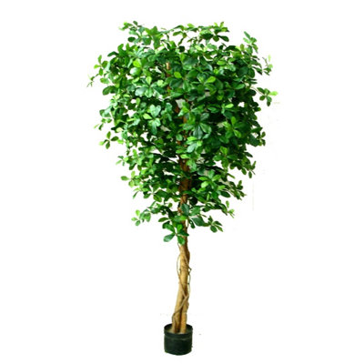 Anivea 180 cm H Faux Tree Plant in Plastic Pot