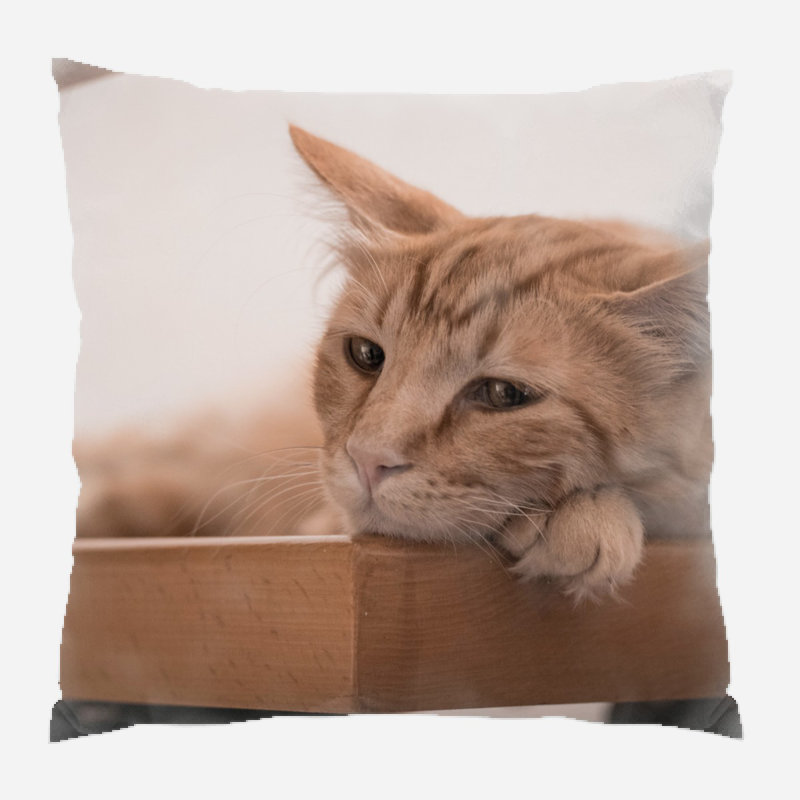 Cronk Outdoor Reversible Throw Pillow, Microsuede, Indoor
