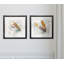 Hameçon mouche - Encadré sous verre acrylique, ensemble de 2, grande décoration murale pour salon-724766576
