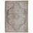 Varasteh Oriental Indoor Rug-1816913706