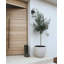 Pot Planter-923022649