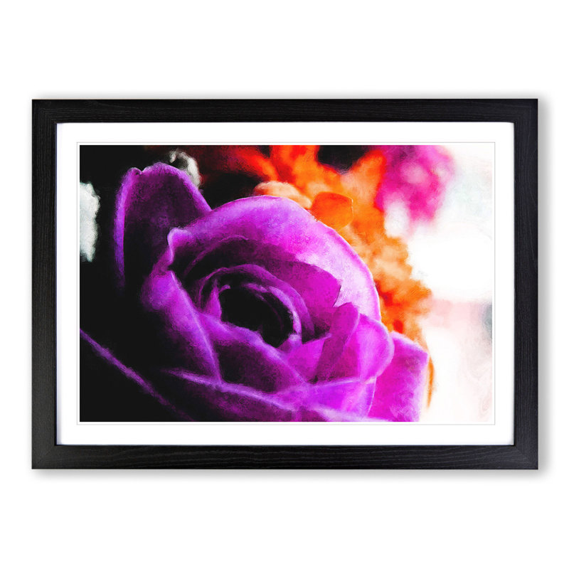Purple Rose Flower Vol.5 - Framed Print, Black Framed, 27cm H x 36cm W x 2cm D