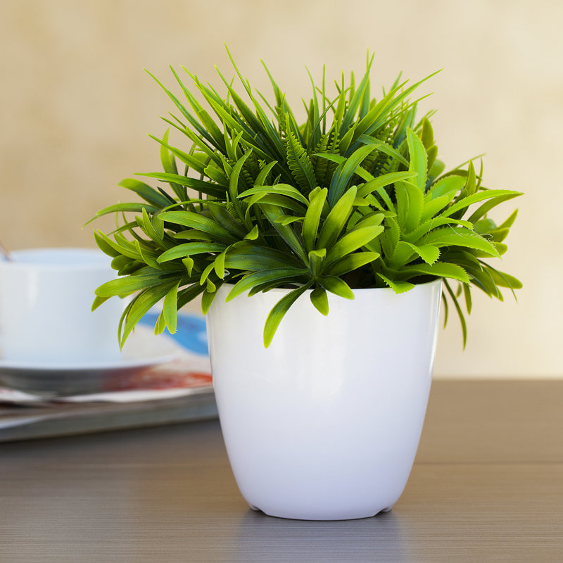 Plante artificielle en pot 8 po Dracaena