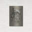 «Brussels Griffon 2» par Barbara Keith-1487345230