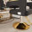 Stylish Adjustable Barber Chair