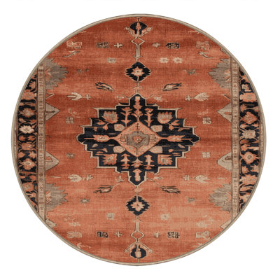 Machine Washable Overdyed Brown Area Rug