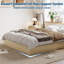 Bed-2042535879