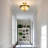 4 - Light Dome Chandelier Dimmable
