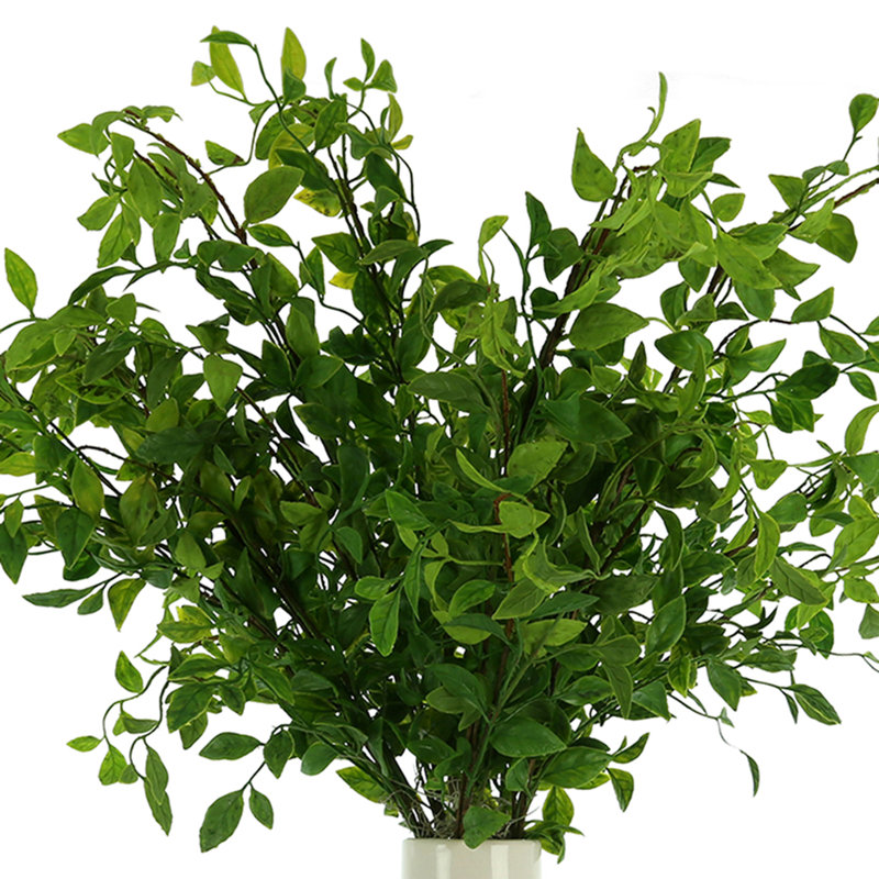Nandina Maitland biologique moderne disposée dans un vase à feuilles en céramique