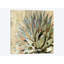 «Succulent I», impression sur toile-28627751-72447758-72447763