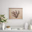 Sealife Print
