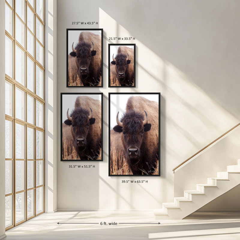 "American Bison IV" par Debra Van Swearingen, reproduction sur toile dans un cadre flottant noir, H 33,5 po x l 21,5 po