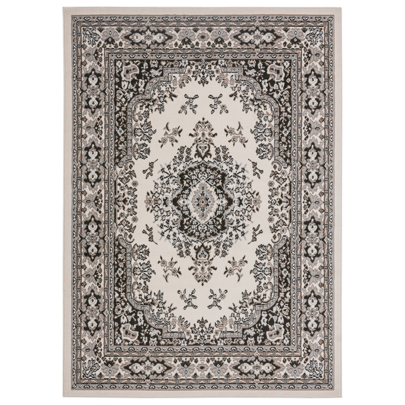 Nimrah Oriental Indoor Rug, Rectangle 8' x 10'